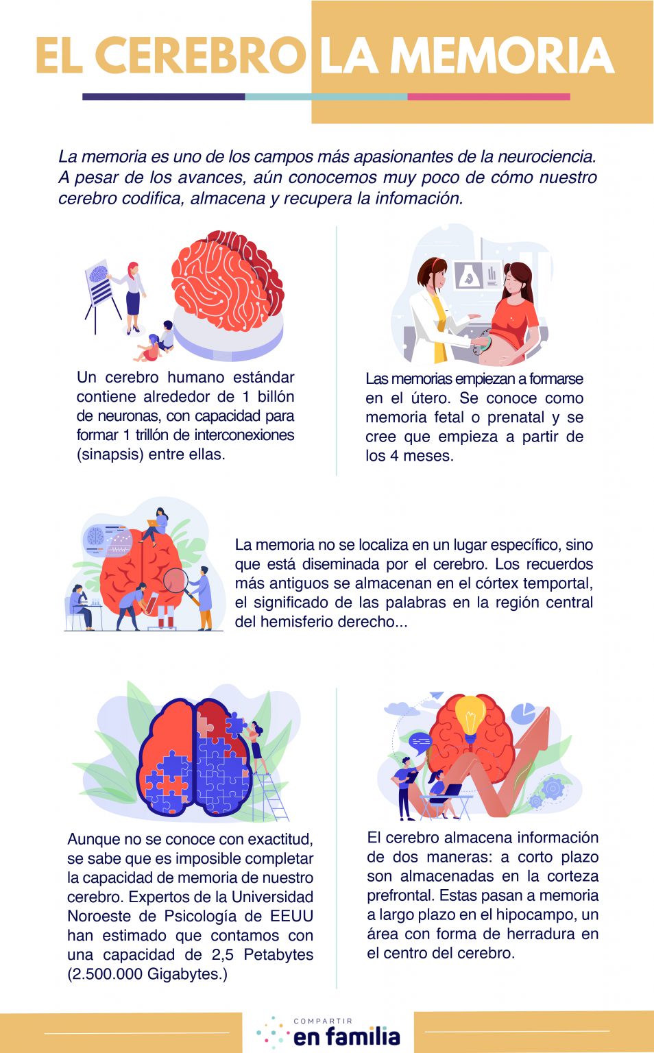 ¿Cómo funciona la memoria en los niños? – Compartir en familia